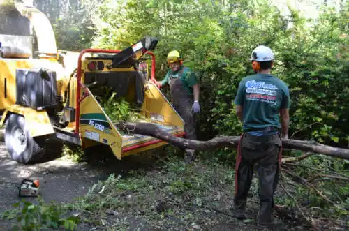 tree services Potrero